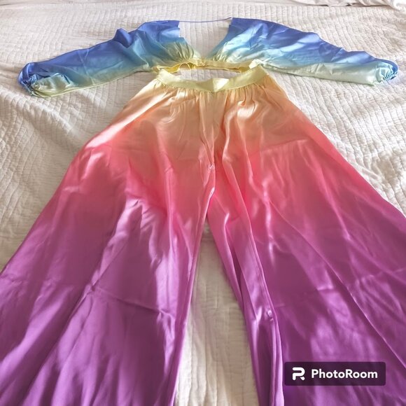 Retrofete 2-Piece Set Rainbow Sky Silk Wide Leg Pants Crop Top Set Womens Medium - Picture 11 of 14